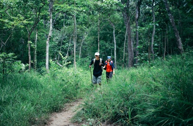 Trekking Tà Năng - Phan Dũng, khởi hành từ Tp. HCM 