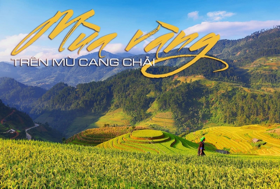 Tour Hà Nội Mù Cang Chải 2 ngày 1 đêm khởi hành từ Hà Nội