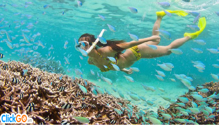 Tour lặn ngắm san hô Phú Quốc khám phá Nam Đảo 1 ngày giá rẻ