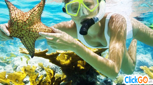 Tour lặn ngắm san hô Phú Quốc khám phá Nam Đảo 1 ngày giá rẻ